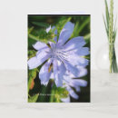 Pesquisar por buzina horizontal cartoes Natureza