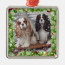 Pesquisar por premium ornamentos Árvore