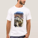 Pesquisar por anza camisetas Florescer