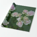 Pesquisar por simpatia papel de presente Floral