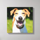 Pesquisar por riso impressão de canvas Fotografia