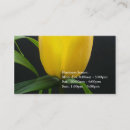 Pesquisar por tulipa amarela cartao de visita Flor