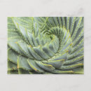 Pesquisar por espiral verde cartoes postais Natureza