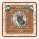 Pesquisar por coyote adesivos Coiote