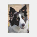 Pesquisar por border collie cobertores Animal