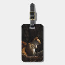 Pesquisar por esquilo bagagem tags Animal