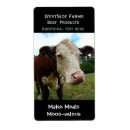 Pesquisar por boi etiquetas Vaca