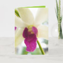 Pesquisar por madame x cartoes Mãe