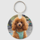 Pesquisar por fluffy chaveiros Animal