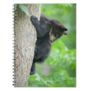 Pesquisar por urso ursinho cadernos de notas Animal