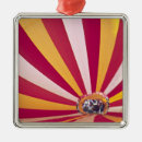 Pesquisar por balão de ar quente ornamentos Colorido