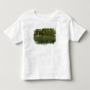 Pesquisar por bluebell roupas Verde