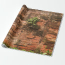 Pesquisar por fundo madeira de papel de presente Latido