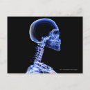 Pesquisar por corpo humano cartoes postais Imagem