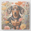 Pesquisar por cosmos porta copos Flores