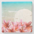 Pesquisar por havaiano porta copos Litoral