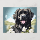 Pesquisar por cão terra nova cartoes postais Animal