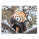 Pesquisar por urso de panda calendarios Animal