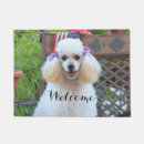 Pesquisar por caniche de brinquedo Filhote de cachorro