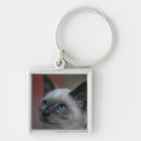 Pesquisar por gato doméstico chaveiros Dentro