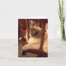 Pesquisar por giratório cartoes Qualquer pessoa