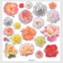 Pesquisar por rosa amarelo adesivos Vermelho