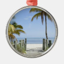 Pesquisar por paraíso ornamentos Tropical