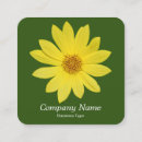 Pesquisar por foto do girassol cartao de visita Moderno