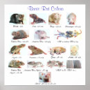 Pesquisar por basic pôsteres Azul