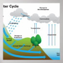 Pesquisar por ciclo da água pósteres pôsteres Educação