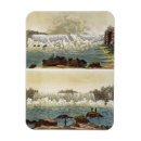 Pesquisar por gravura imas Century