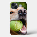 Pesquisar por golden capas Pet