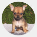 Pesquisar por louca adesivos Castanho