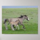 Pesquisar por égua artes pôsteres Mustang