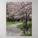 Pesquisar por kanji japonês pôsteres Flor de cereja