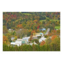 Pesquisar por floresta colorida pôsteres Amarelo