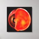 Pesquisar por médico impressão de canvas Ilustração