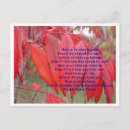 Pesquisar por flores nativas cartoes Índio