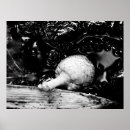 Pesquisar por lobo abstrato pôsteres Natureza