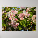 Pesquisar por pretty pósteres pôsteres Qualquer pessoa