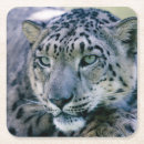Pesquisar por leopardo de neve porta copos Gato grande