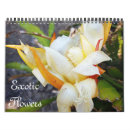 Pesquisar por flores exóticas calendarios Floral
