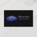 Pesquisar por flores da margarida cartao de visita Floral