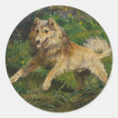 Pesquisar por collie adesivos Cães