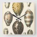 Pesquisar por costa da praia relogios de parede Concha