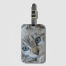Pesquisar por pets bagagem tags Abstrato