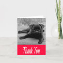 Pesquisar por pug feliz cartoes Cachorros