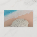 Pesquisar por praia florida cartao de visita Natureza