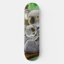 Pesquisar por koala do skates Bonito