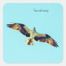 Pesquisar por osprey Presa
